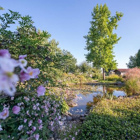 Einzigartige Naturoase Im Sueden Von Ingolstadt Brautlach Экстерьер фото